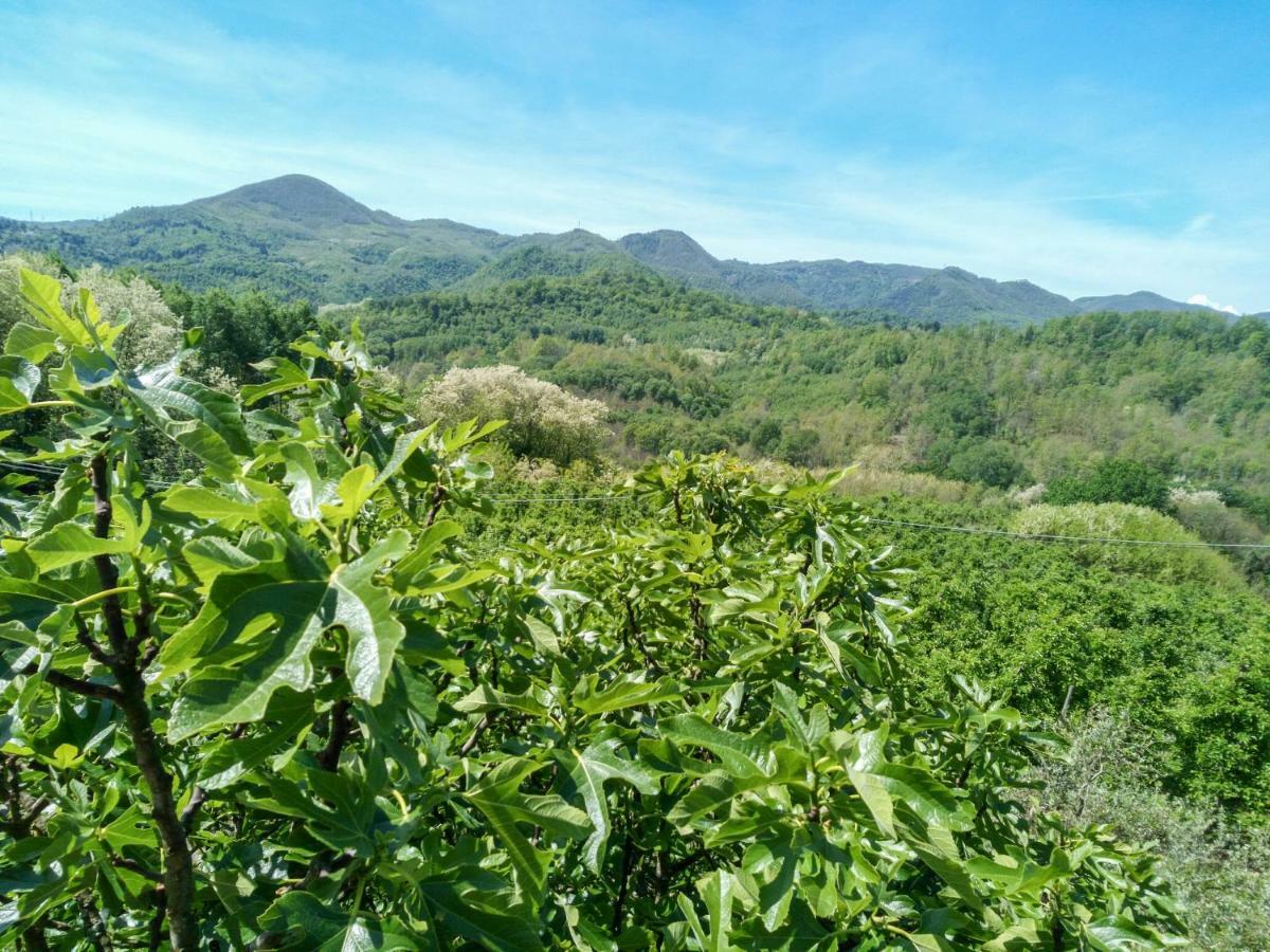 Il Melo Villa Fivizzano Dış mekan fotoğraf